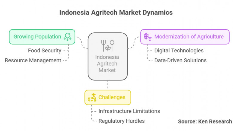 Navigating Challenges in the Indonesia Agritech Market- Insights and Practical Solutions