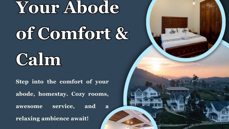 Ooty's Eco-Chic Retreat: Petals - Perfect for Couples on a Budget