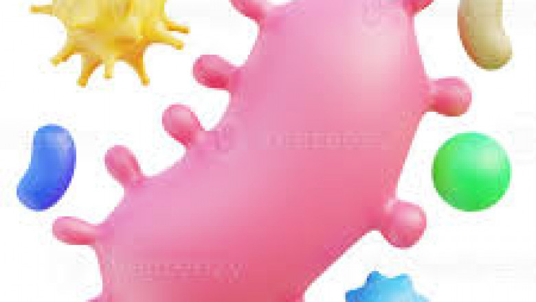 Pathogen Reduction System Market size See Incredible Growth during 2033