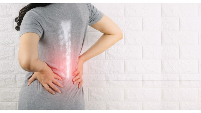 Postmenopausal Osteoporosis Market Sees Growth via 3D Bone Imaging