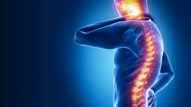 Stem Cell Treatment Options for Spinal Cord Injuries