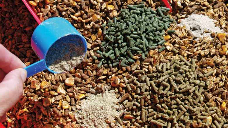 Animal Feed Market is Anticipated to Witness High Growth Owing to Rising Livestock Production