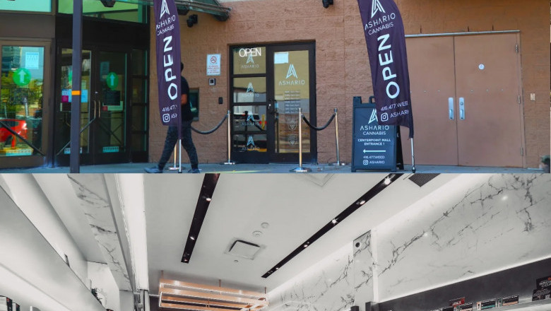 Finding the Best Cannabis Store Near Finch and North York