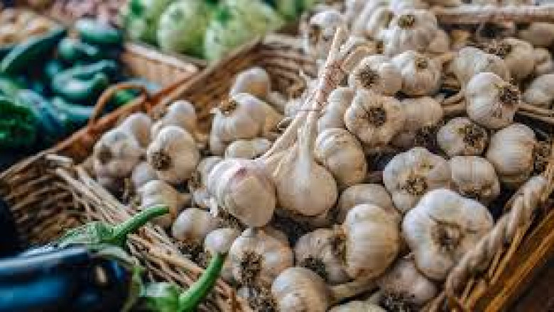 Garlic Market: Forecasting Growth Trajectories and Future Industry Developments