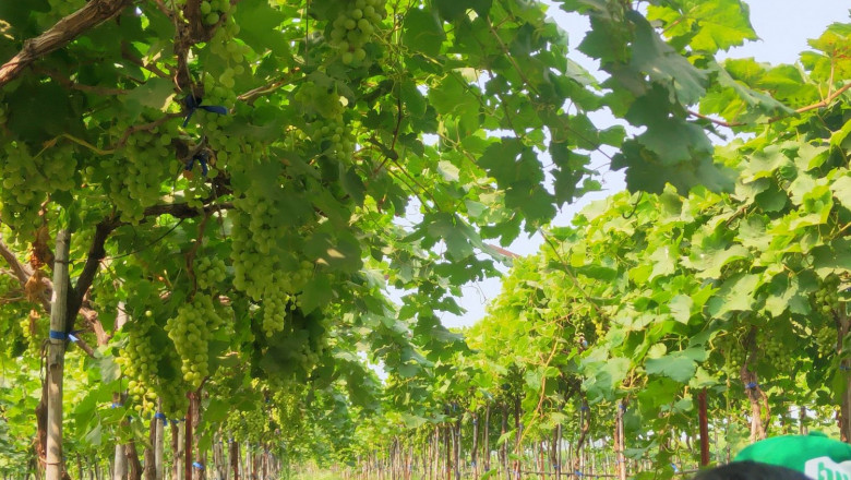How Technology Is Transforming It's Future Of Agri Agriculture