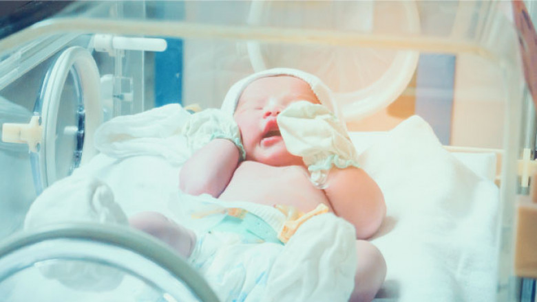 Kangaroo Care for Premature Babies in the NICU