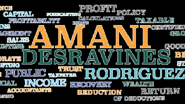 Navigating Financial Challenges in 2025: The Importance of Business Audit and CFO Services in Austin