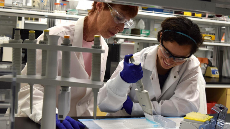 Vocal Biomarker Market Analysis Reveals Competitive Landscape and Key Regional Growth Insights