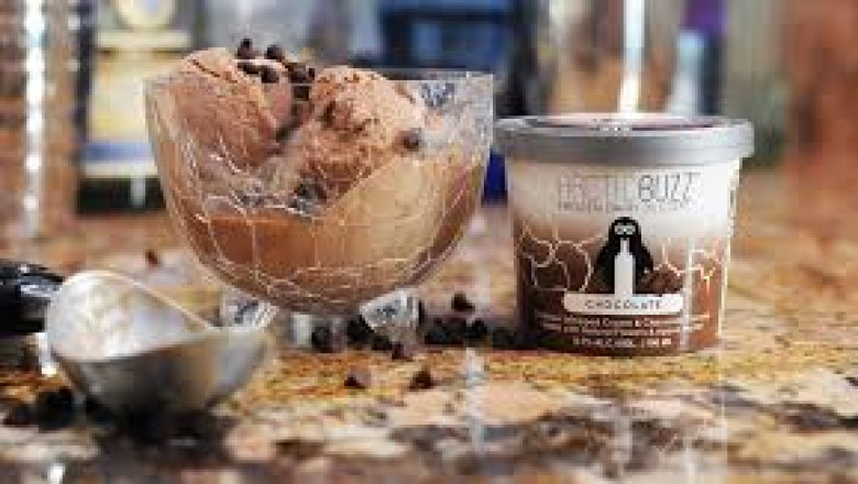 Alcoholic Ice Cream Market regional analysis highlighting USA and Europe forecasts