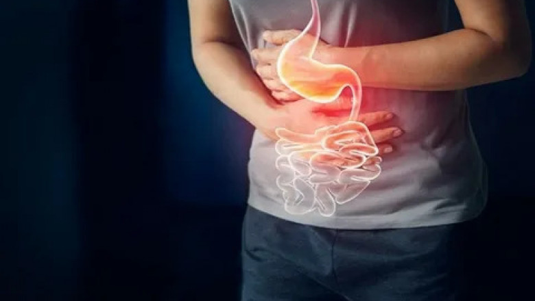 Gastroenterology Market is Estimated to Witness High Growth Owing to AI-Enabled Endoscopy