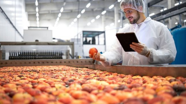 Report on Requirements for Setting Up a Food Processing Manufacturing Plant