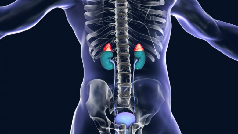 Adrenal Crisis Market Expands Due to Rising Treatment Demand