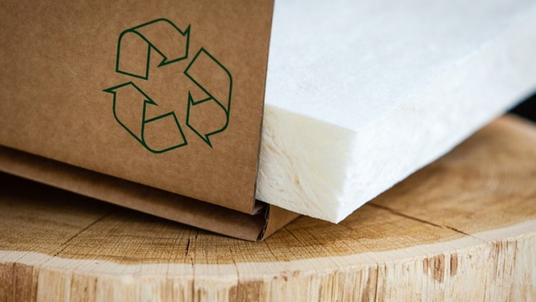Bio-based Foam Market Impact on Sustainable Packaging and Eco-friendly Consumer Goods Demand