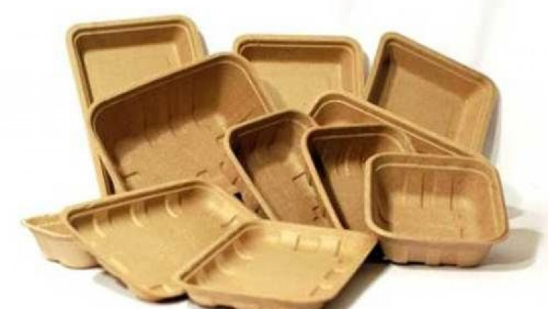 Biodegradable Packaging Market Expands as Corporations Pursue Eco-Friendly Packaging Alternatives Globally