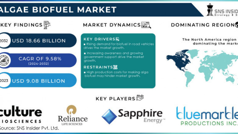 Can European Incentives Overcome Algae Biofuel Production Costs?