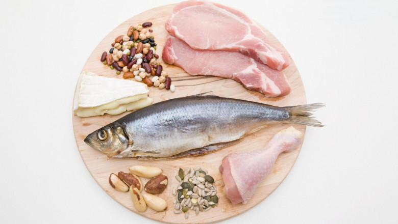 Fish Protein Isolate Market Growth Fueled by Rising Consumer Interest in High Digestibility and Bioavailability
