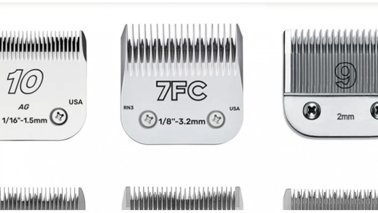 The Ultimate Guide to Choosing the Best Clippers for Fades in 2024