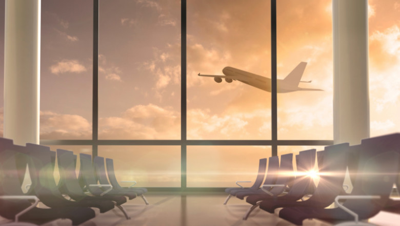 Best Airlines for Pet Travel in Cabin and Cargo 2025