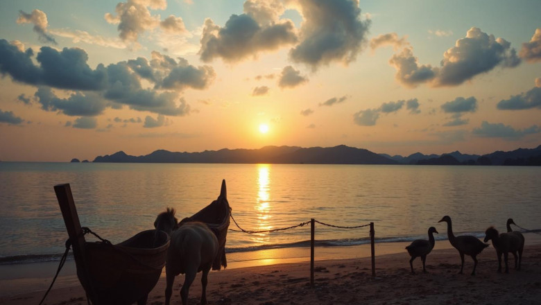 Best Time to Visit Andaman for Water Adventures