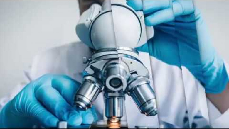 Bioassay Services Market Estimated to Soar With AI-Based Automation