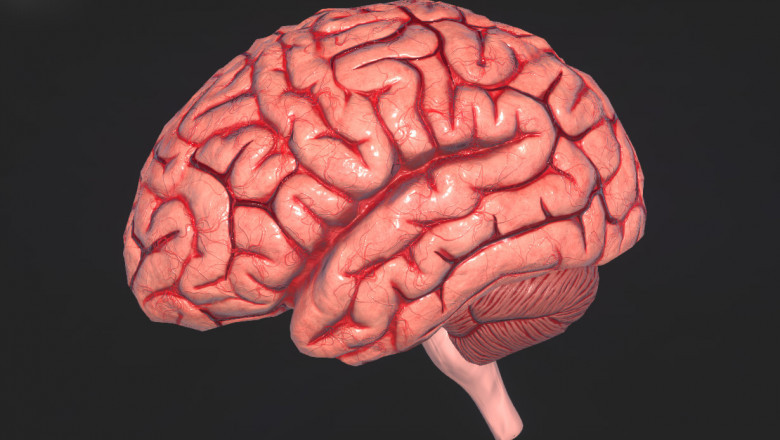 Frontotemporal Dementia Market to Grow Fastest with Therapeutic Innovation