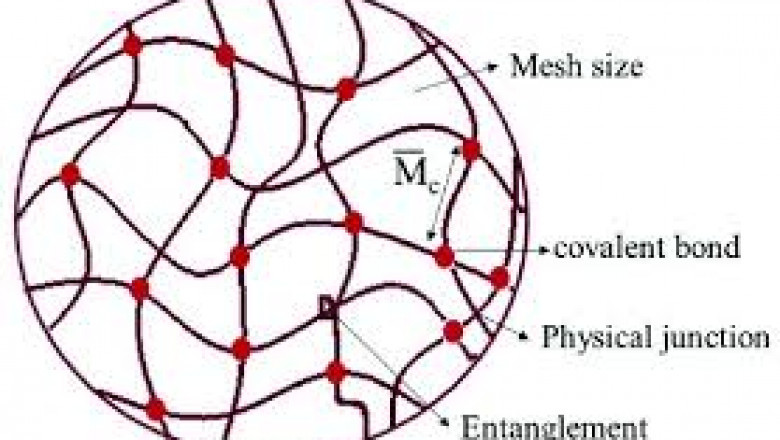 Hydrogel-based Drug Delivery Market Shifts: Embracing Personalization, Digital Integration, and Sustainability