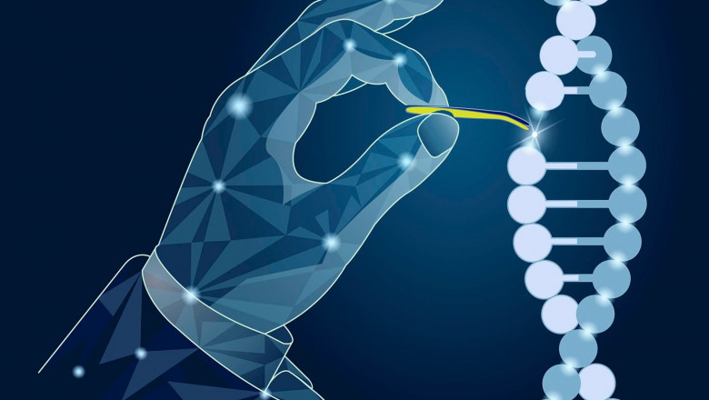 Hypersomnia Therapeutics Market to Surge Due to Wake-Promoting R&D