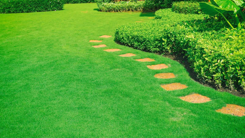 Semms Property Services: Landscaping and Garden Maintenance Experts in Australia
