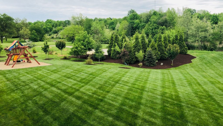South Korea Lawn Care Products Market