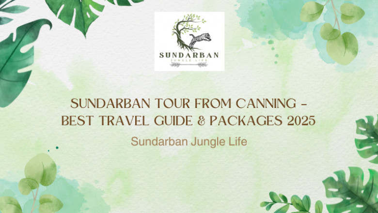 Sundarban Tour from Canning – Best Travel Guide & Packages 2025