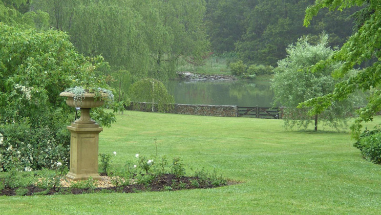 Why Choose Semms Property Services for Weekly Lawn Mowing Moss Vale?