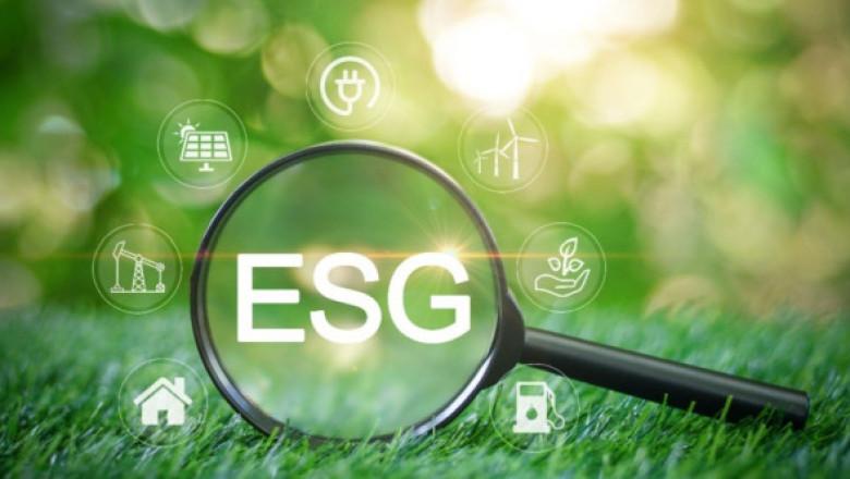 ESG-Berichterstattung für Startups: Warum Größe keine Entschuldigung für Verantwortung ist