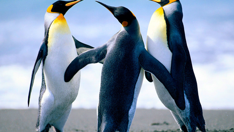 How HR Software for Small Business Can Transform Your Team Management