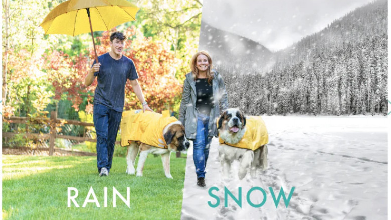 Invest in Premium Large Dog Accessories by HugeHounds.com