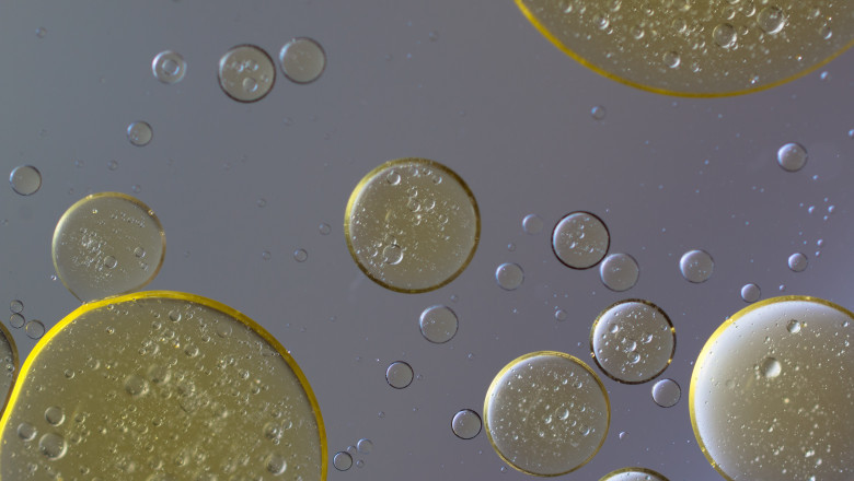 Single Cell Oil Market to Soar with Advanced Bioprocessing Technology