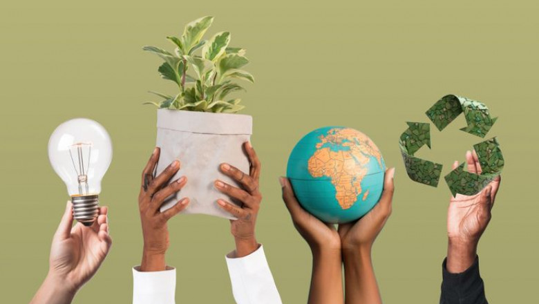 Sustainable Business Models: Creating Profit with Purpose