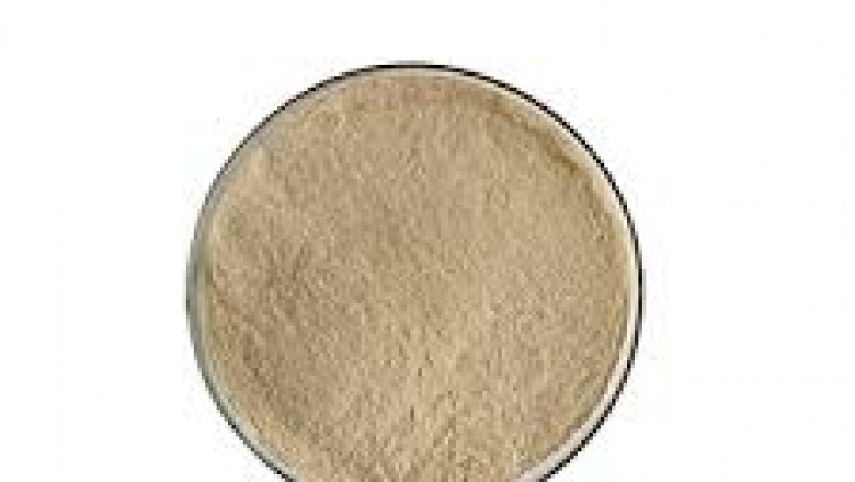 Yeast Nucleotides Market – Key Impacting Factors Driving Supply, Demand, and Product Advancement