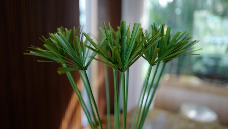 Artificial Plants Market Growth Driven by Key Impacting Factor Analysis