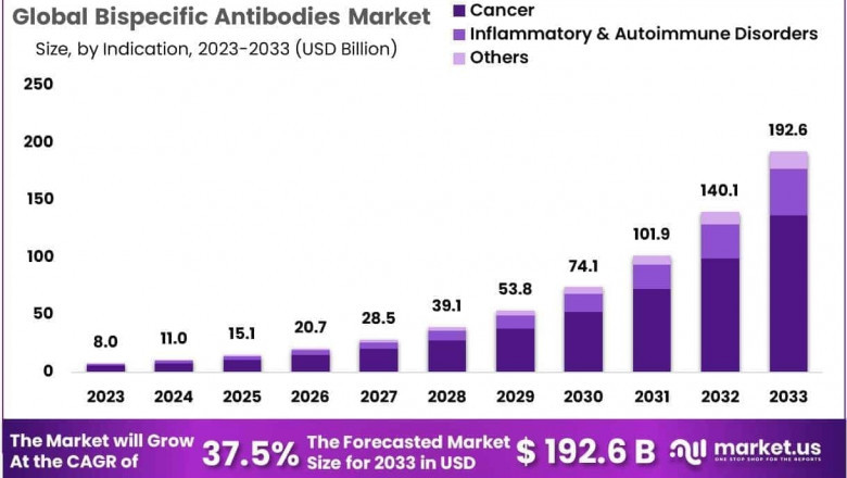 Bispecific Antibodies Market Global Development and Regional Disparities