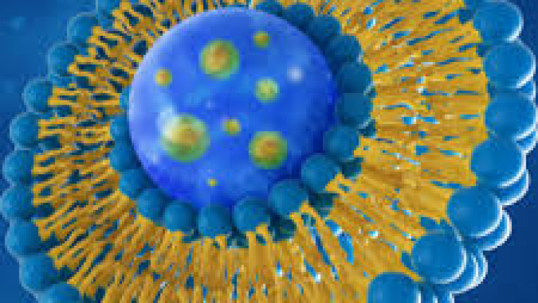Lipid Nanoparticles Market is Anticipated to Witness High Growth Owing to Rising Adoption in mRNA Therapeutics