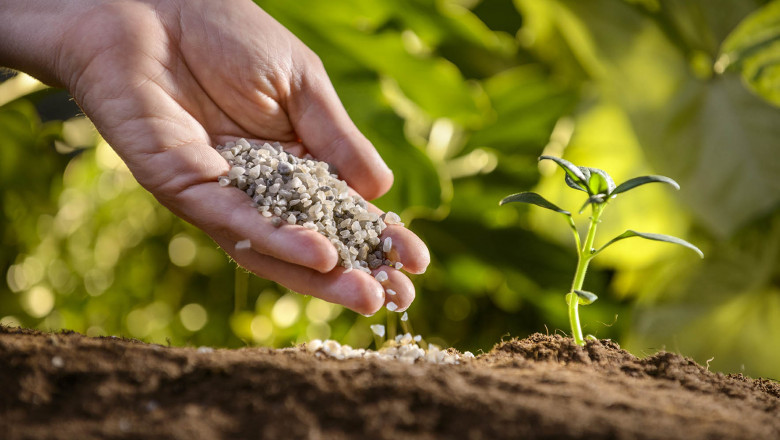 Micronutrient Fertilizers Market Primed for Growth Owing to Rising Crop Nutrient Demand