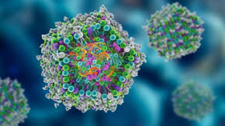Propionic Acidemia Therapeutic Market to Grow on Gene Therapy Advances