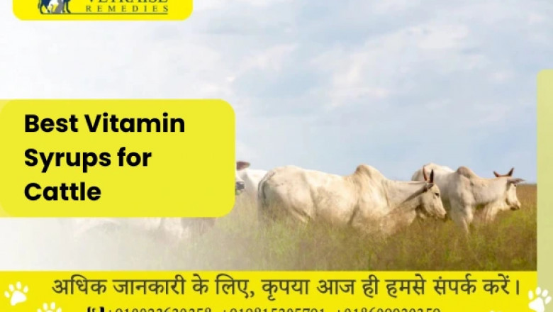 Best Vitamin Syrups for Cattle