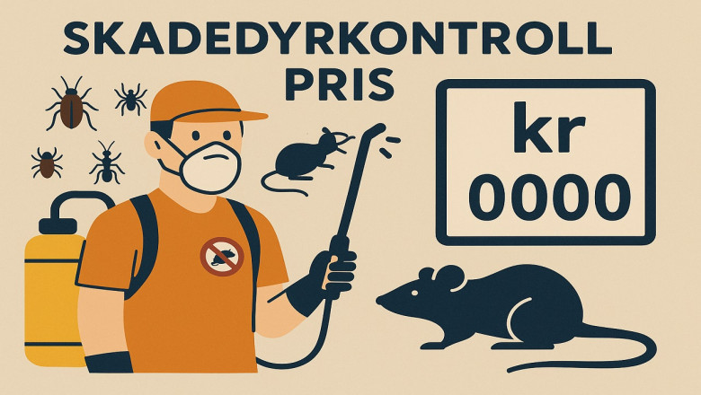 Skadedyrkontroll Pris: Hva Du Må Vite Før Du Bestiller Tjenesten