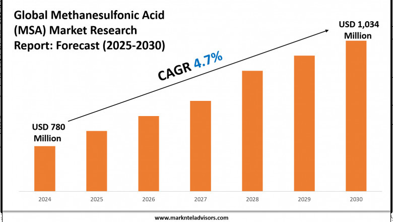 Methanesulfonic Acid (MSA) Market Insights 2025–2030: Value, Share & Analysis