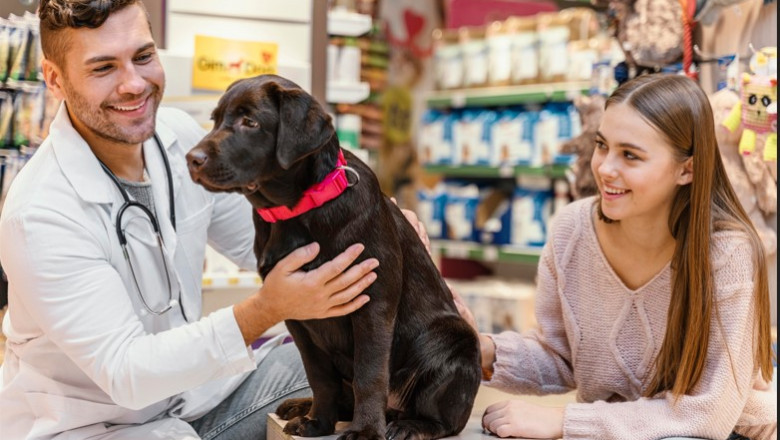 Pet Insurance Market in North America: Leading the Global Industry