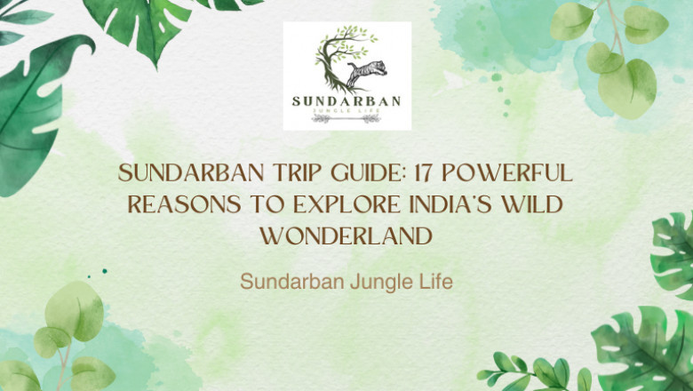 Sundarban Trip Guide: 17 Powerful Reasons to Explore India’s Wild Wonderland