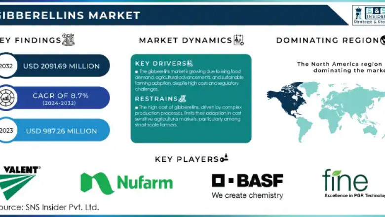 What Factors Boost Gibberellins Demand in European Farming?