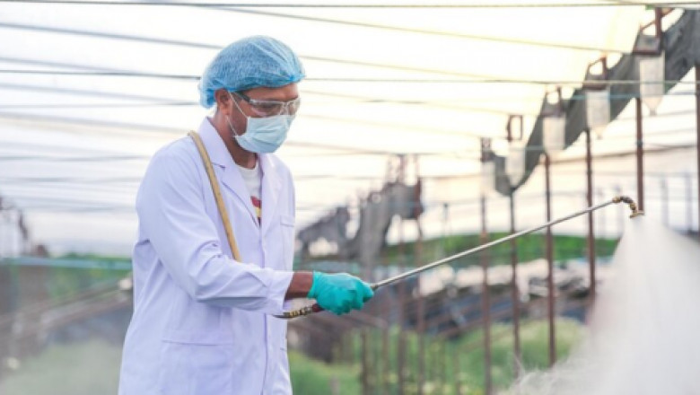 Why Should You Hire Experts for Mosquito Pest Control Services at Home?