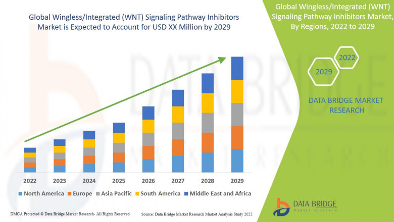 Wingless/Integrated (WNT) Signaling Pathway Inhibitors Market Size, Share, Trends, Demand, Growth and Competitive Analysis